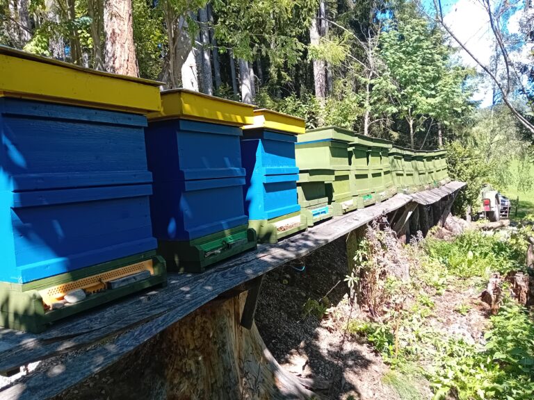 Gallery__o20260906_124325